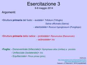 esercitazione 3 Archivo - e