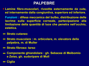 Presentazione di PowerPoint