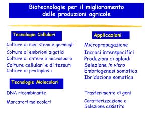 Presentazione di PowerPoint