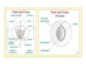 Diapositiva 1 - e