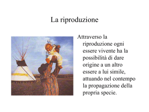 Presentazione di PowerPoint - Digilander