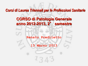Presentazione di PowerPoint
