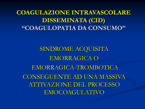 cid.definitiva