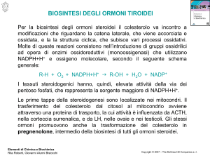 Diapositiva 1