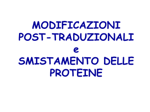CODICE GENETICO ovvero