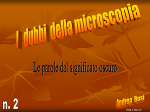 Dispensa #2