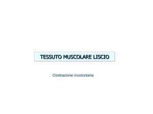 tessuto muscolare liscio