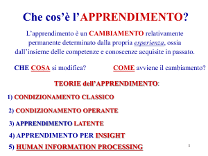 Che cos`è l`APPRENDIMENTO?