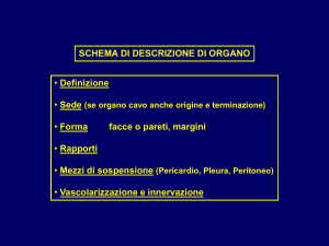 Schemi (a.a. 2010-11)