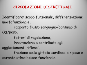 Diapositiva 1