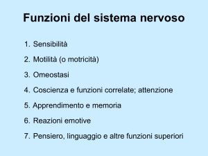 Funzione sensitiva