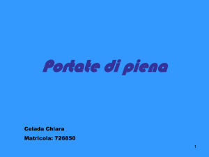 Portate di piena