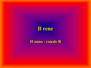 Nessun titolo diapositiva