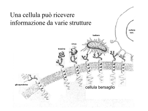 Comunicazione