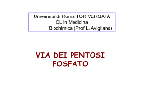 via dei pentosi fosfato
