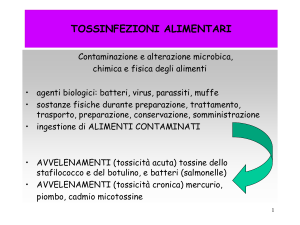 Tubercolosi - Digilander
