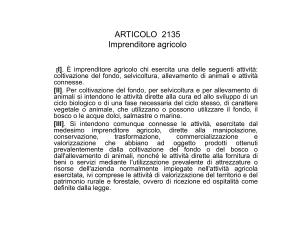 3imprenditoreagricolo e comm