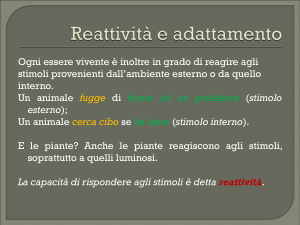 Le caratteristiche dei viventi