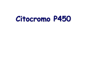 15_citP450