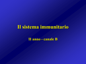 Il sistema immunitario