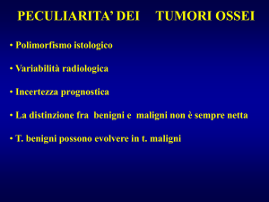 Nessun titolo diapositiva