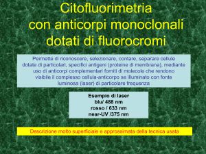 Citofluorimetria
