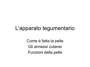 L`apparato_tegumentario.pps