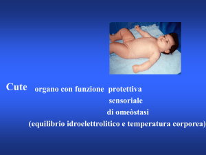 anatomiacute