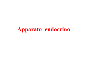 Presentazione di PowerPoint