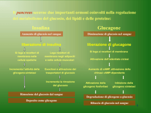 meccanismi di regolazione e ruolo degli ormoni