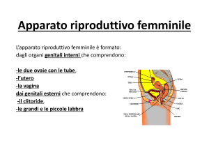 ISTO-Ovaio