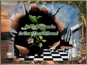 La leggenda della Passiflora