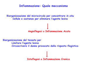 Infiammazione 3 Cronica