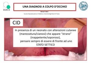 Presentazione di PowerPoint