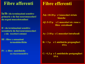 diapositive lezione 29.3.2011