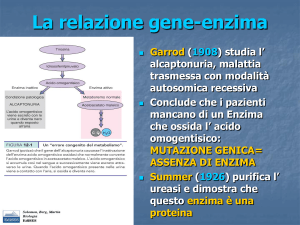 Diapositiva 1 - Liceo Galileo Galilei