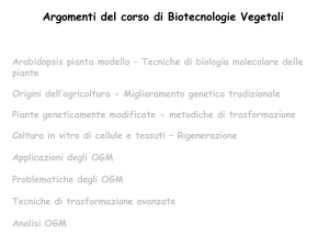 argomenti_-_testi