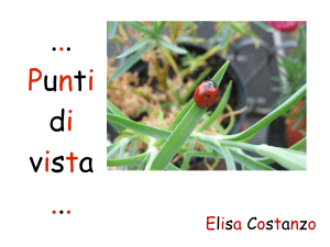 `Punti di vista`. Elisa Costanzo 3 File