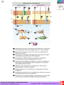 Iconografia: meccanismi