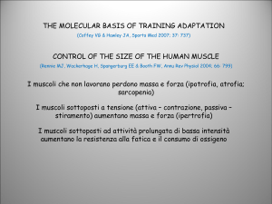 Diapositiva 1