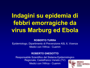 Linee guida per indagare su una epidemia di