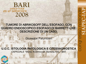Diapositiva 1