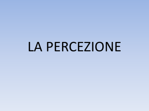 la percezione - WordPress.com