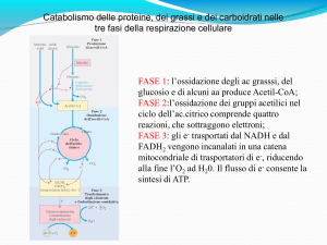 Presentazione di PowerPoint - Progetto e