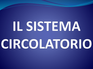 Diapositiva 1 - Share Dschola