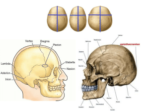 5a-CARATTERI MORFOLOGICI