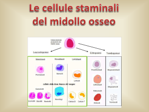 Diapositiva 1 - Scienza Attiva