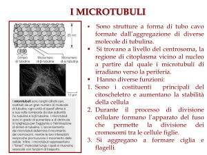 Elementi di citologia parte 3