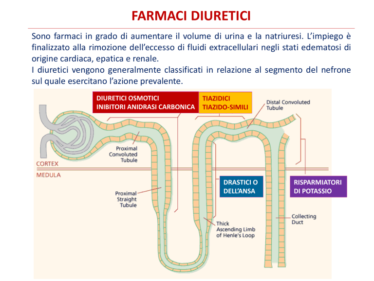 Diuretici File