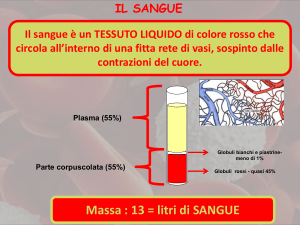 Il sangue - Istituto San Giuseppe Lugo
